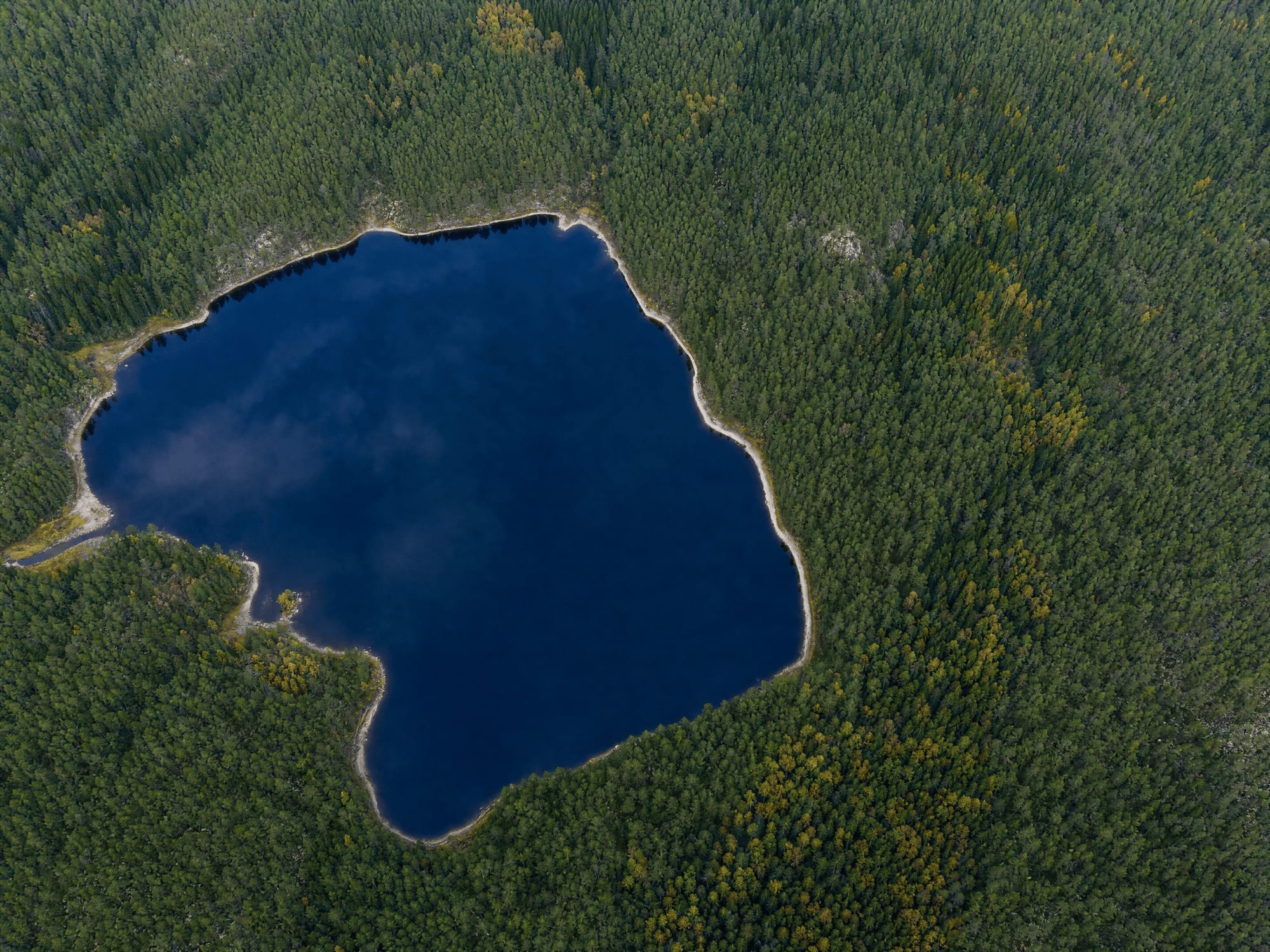 Luftbild eines Sees und der umgebenden Natur